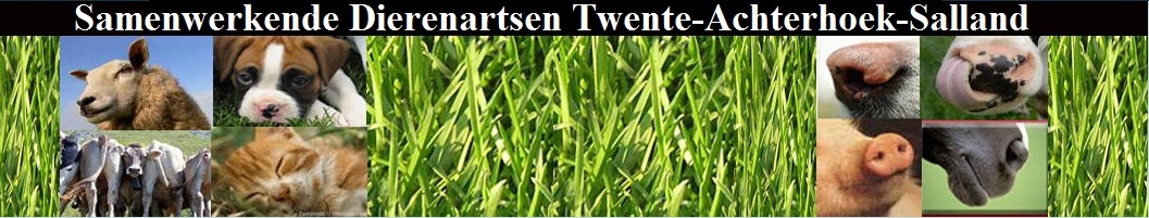 Dierenartsen Twente Achterhoek-Salland